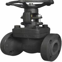 Van cổng A105 Flange RF Class300