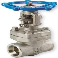 VAN CỔNG HÀN LỒNG, A182 GR.F304/304 SW x SW BB OS&Y API 602