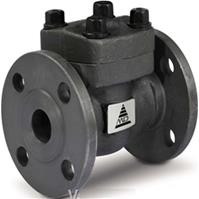 Van một chiều thép rèn mặt bích Class 300