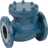 Van một chiều PN16 BS