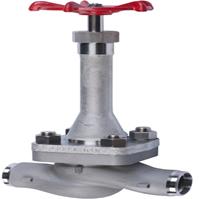Casting Steel Cryogenic Globe Valve