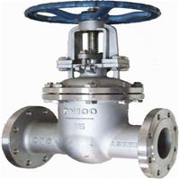 van cổng BS thép không gỉ 304/3016