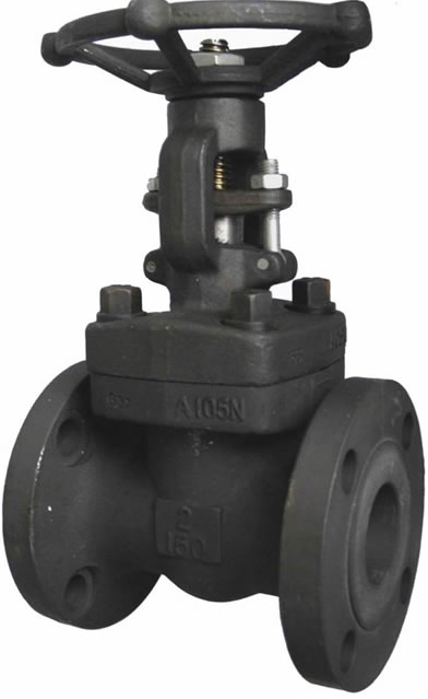 Van cổng A105 Flange RF Class300